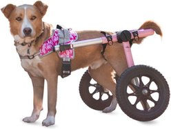 Walkin' Pets Warrior Front Handicapped Support Dog Harness, Pink, Medium: 23.5 to 30-in chest