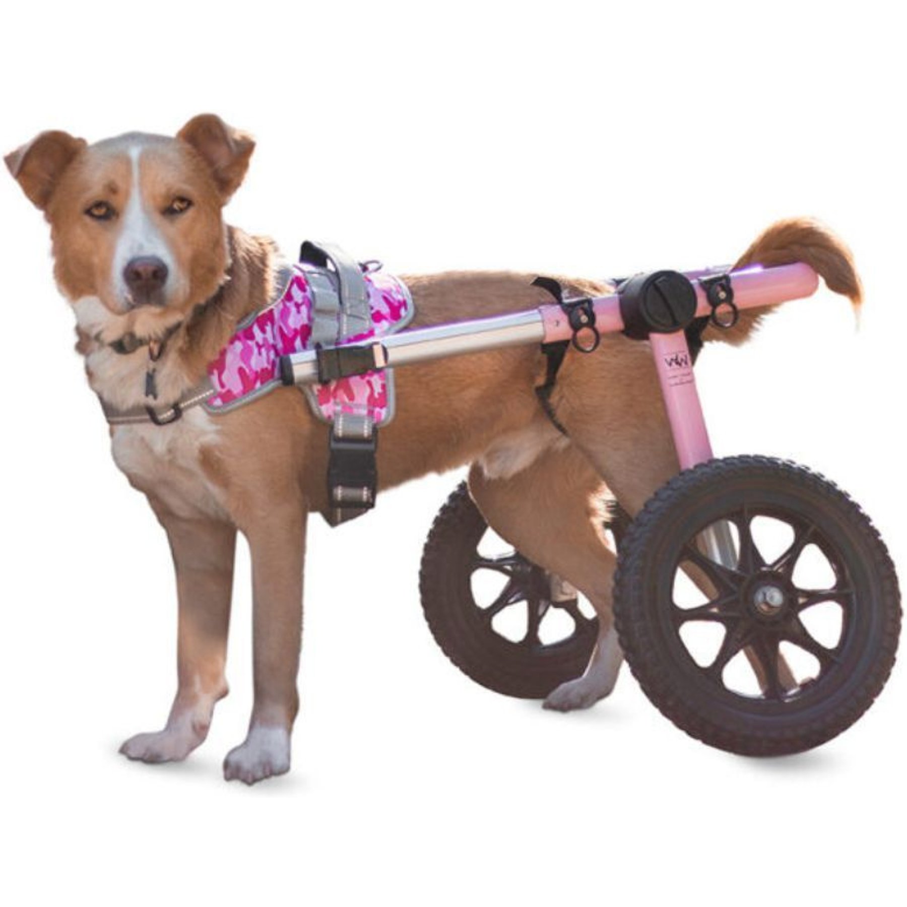 Walkin' Pets Warrior Front Handicapped Support Dog Harness, Pink, Large: 28 to 37-in chest