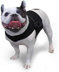 Walkin' Pets Small Premium Front Vest Handicapped Support Dog Harness, Black, XX-Large: 24 to 26.5-in chest