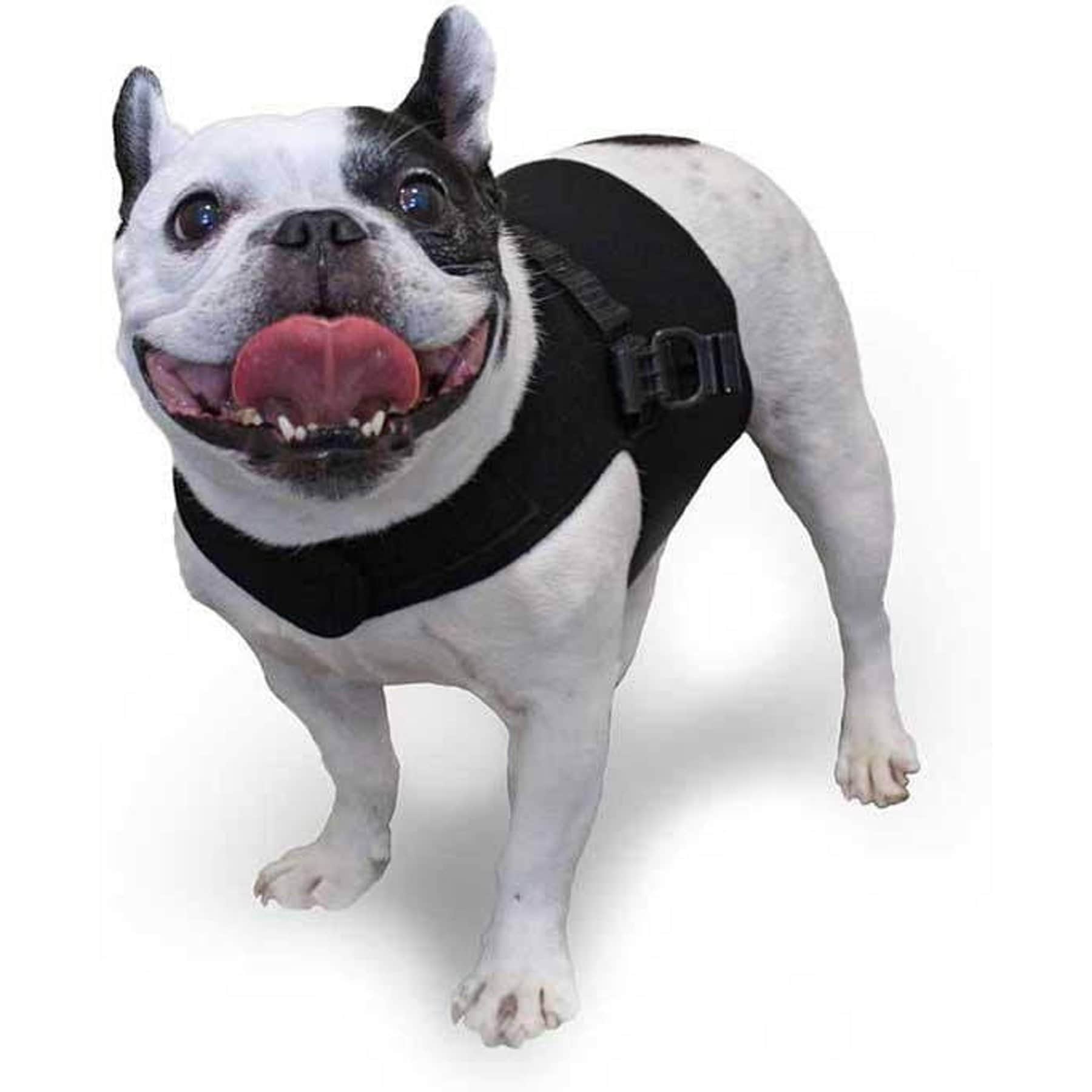 Walkin' Pets Small Premium Front Vest Handicapped Support Dog Harness, Black, XX-Large: 24 to 26.5-in chest