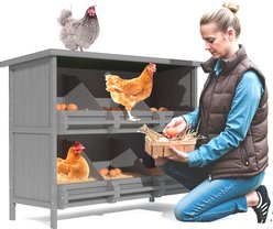 TIMHAKA 2-Tier & 6-Compartment, Solid Wood Egg Laying Chicken & Duck Nest Box, 45.3 x 15.4 x 34.6-in