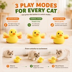 Purr Harbor Rechargeable Flapping Wings Chirp Duck Electronic Preening Cat Toy, Yellow slide 2 of 7