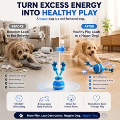 Purr Harbor Smart Interactive with Rope Exercise Motion Dog Toy, Orange slide 2 of 6
