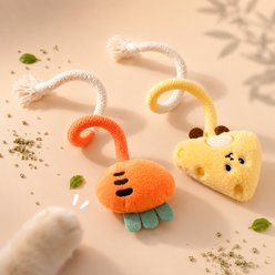 Purr Harbor Cartoon Carrot & Cheess Catnip Infused Cotton Chew Rope Teethning Cat Toy, 2 count