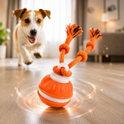 Purr Harbor Smart Interactive with Rope Exercise Motion Dog Toy, Orange