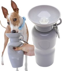 Springland Travel Dog Bottle, 22-oz, Gray