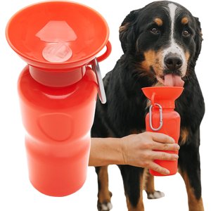 SPRINGLAND Travel Dog Bottle, 22-oz, Poppy - Chewy.com