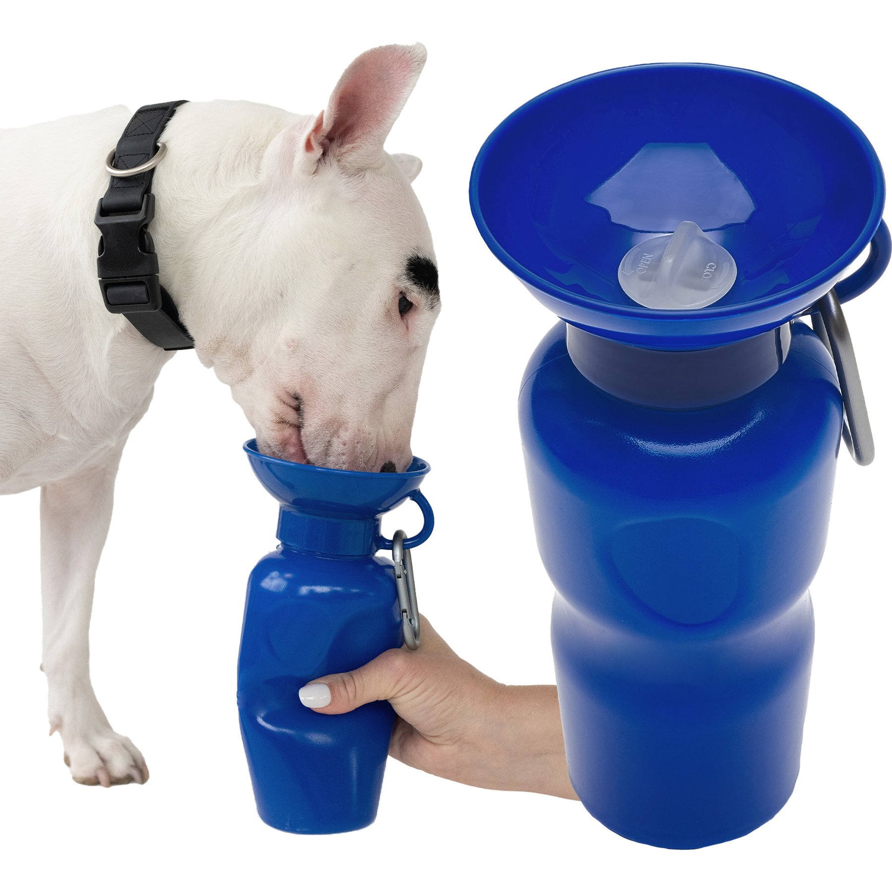 Springland Travel Dog Bottle, 22-oz, Indigo