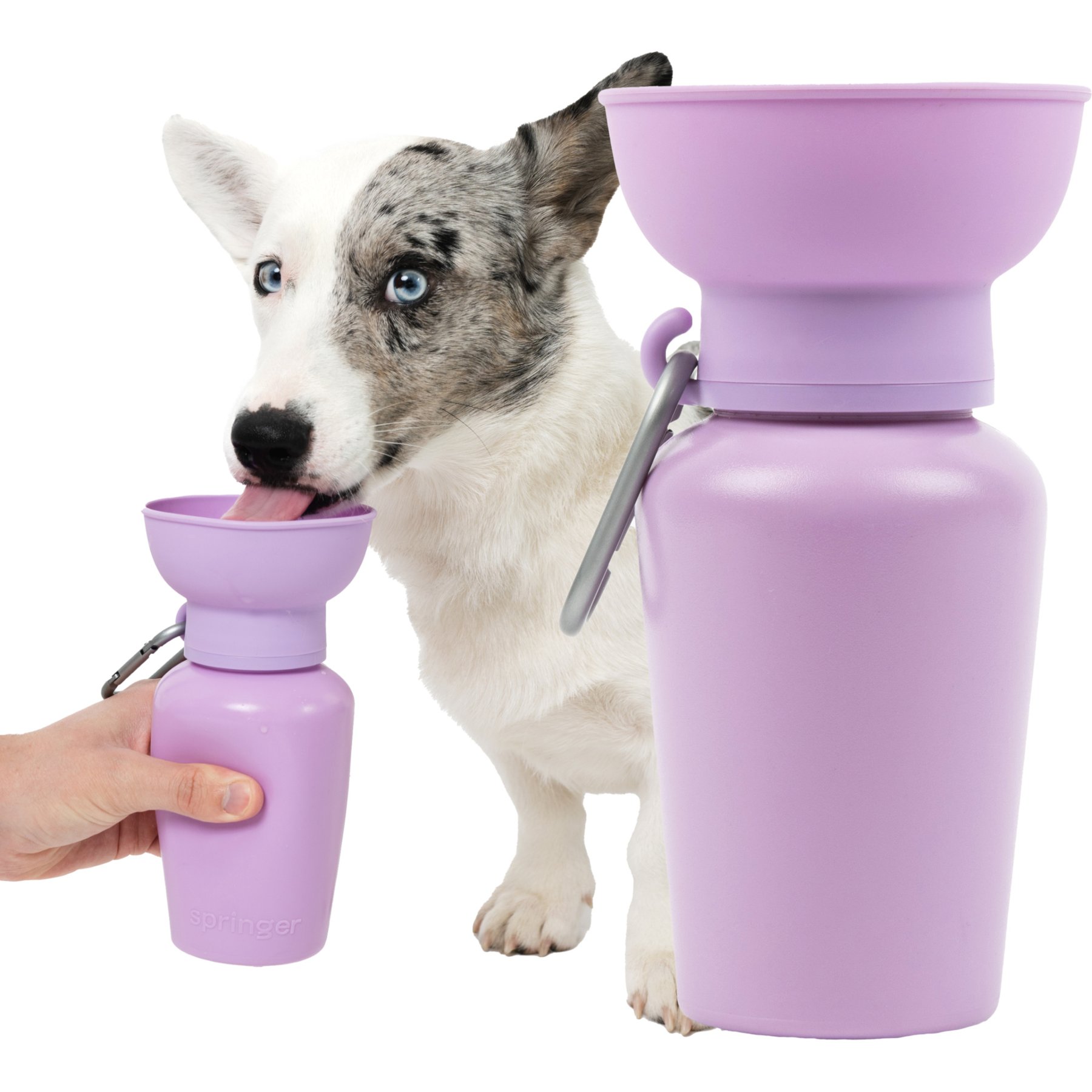 Springland Flip Foldable Travel Dog & Cat Water Bottle, 20-oz, Lilac