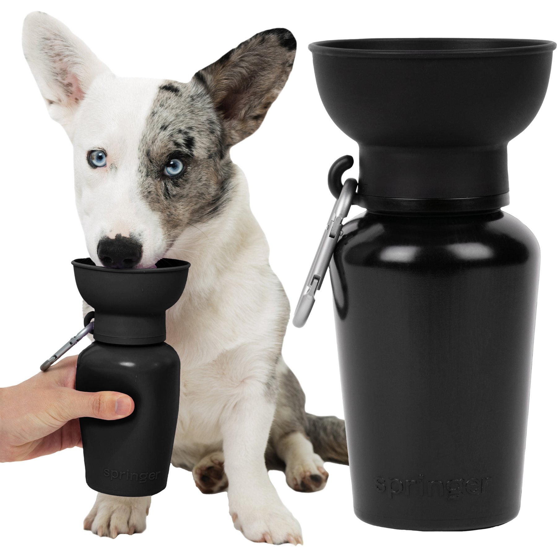Springland Flip Foldable Travel Dog & Cat Water Bottle, 20-oz, Black