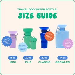 Springland Growler Travel Dog & Cat Water Bottle, Sky Blue, 44-oz slide 2 of 7