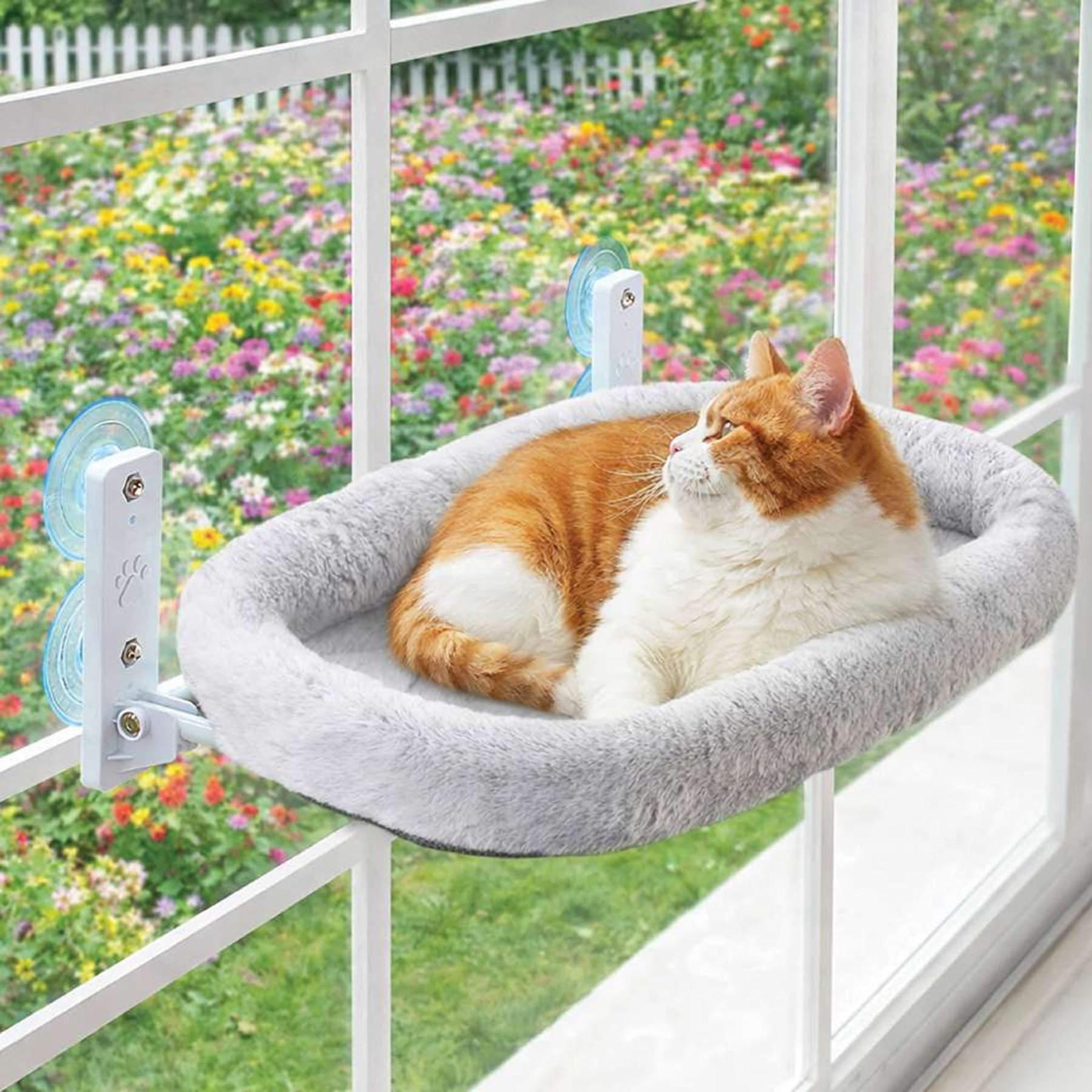 Katziela CloudPerch Heavy-Duty Steel Frame Cat Window Perch with Insulating Memory Foam Bed, Grey, Medium, 1