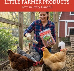 Little Farmer Products Good Deal Grubs Black Soldier Fly Larvae Chicken Treat, 11-lb bag slide 2 of 7