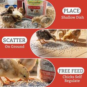 Little Farmer Products Baby Chickie True Grit Granules, 5-lb bag
