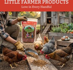 Little Farmer Products Good Deal Grubs Black Soldier Fly Larvae Chicken Treat, 1-lb bag slide 2 of 7