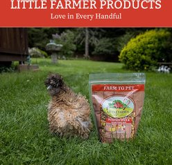 Little Farmer Products Pumpkin Spice & Everything Nice Chicken Treat, 3-lb bag slide 2 of 7