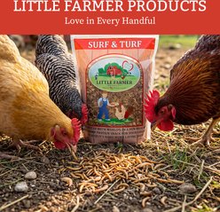Little Farmer Products Surf & Turf Chicken Treats, 1-lb bag slide 2 of 7