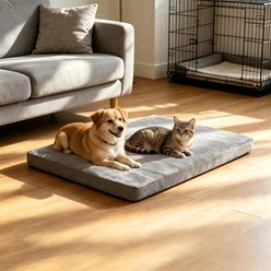 Decflow 23-in Dual-Sided Waterproof Dog Bed with Hidden Zipper & Removable Washable Cover Pet Pad Mat, Gray