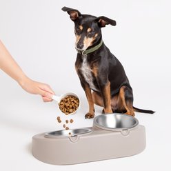 Ubbi Food & Water Non-Skid Stainless Steel Elevated Dog & Cat Bowls, 16-oz, Taupe slide 2 of 6