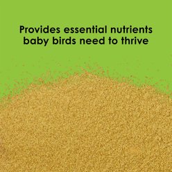 Kaytee Exact Handfeeding Baby Bird Food, 5-lb bag slide 2 of 9
