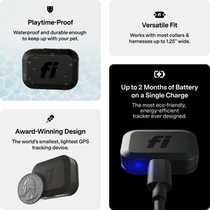 Fi Mini GPS Smart Dog Collar, Black