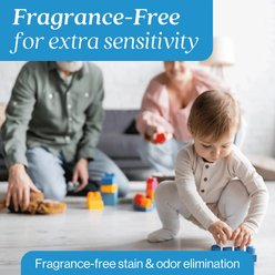 EcoStrong Fragrance Free Dog Stain & Odor Eliminator, 1-gallon jug slide 2 of 9