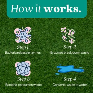 EcoStrong Outdoor Odor Eliminator, 1-gal jug & Multi-Use Sprayer