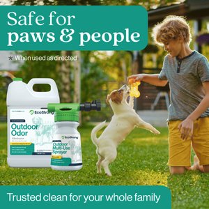 EcoStrong Outdoor Odor Eliminator, 1-gal jug & Multi-Use Sprayer
