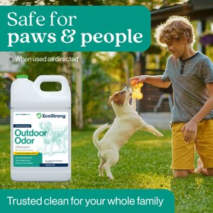 EcoStrong Outdoor Odor Eliminator, 1-gal jug