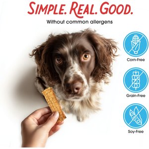 Farmland Traditions USA Dogs Love Chicken Grain-Free Jerky Strips Dog Treats, 3-lb bag