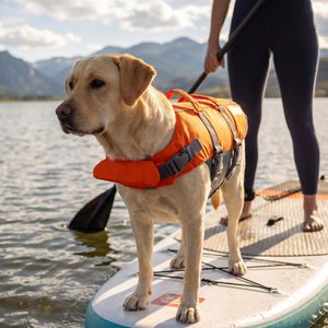 Outward Hound Granby RipStop Dog Life Jacket, Large, Bright Orange