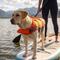 Show in main carousel: Outward Hound Granby RipStop Dog Life Jacket, Large, Bright Orange slide 8 of 12