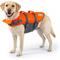 Show in main carousel: Outward Hound Granby RipStop Dog Life Jacket, Large, Bright Orange slide 1 of 12