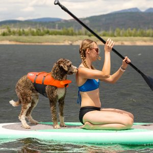 Outward Hound Granby RipStop Dog Life Jacket, Medium, Bright Orange