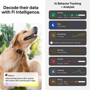 Fi Mini GPS Smart Dog Collar, Black