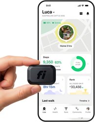 Fi Mini GPS Smart Dog Collar, Black
