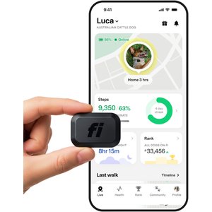 Fi Mini GPS Smart Dog Collar, Black