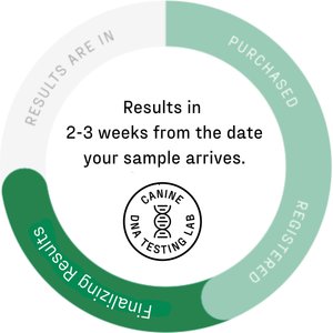 DNA My Dog Essential + Health Breed Identification Test