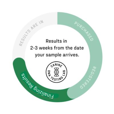 Show full view: DNA My Dog Essential + Health Breed Identification Test slide 7 of 9
