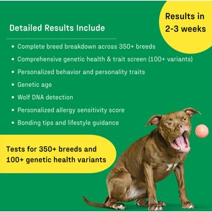 DNA My Dog Essential + Health Breed Identification Test