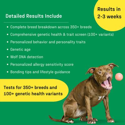 Show full view: DNA My Dog Essential + Health Breed Identification Test slide 6 of 9