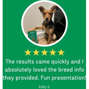 DNA My Dog Essential + Health Breed Identification Test