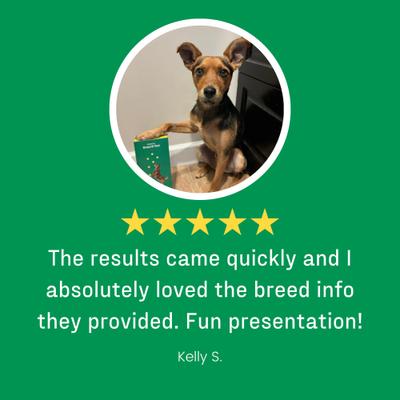 Show full view: DNA My Dog Essential + Health Breed Identification Test slide 8 of 9