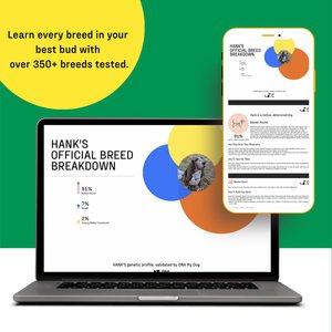 DNA My Dog Essential + Health Breed Identification Test