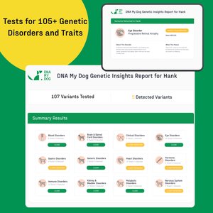 DNA My Dog Essential + Health Breed Identification Test