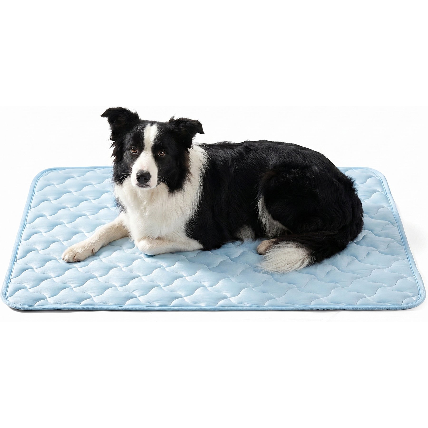 MIXJOY Thin Non-Slip Bottom Machine-Washable Cooling Dog Mat, Light Blue, Large