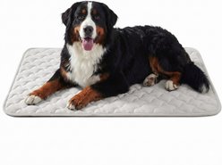 MIXJOY Thin Non-Slip Bottom Machine-Washable Cooling Dog Mat, Light Grey, X-Large