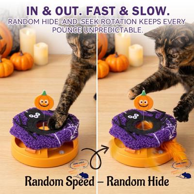 Show full view: Migipaws Interactive Sensor-Activated Halloween Cat Toy slide 2 of 10