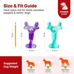 Potaroma Nylon Rotating Treat-Holding Bones Bacon Flavor Exercise Chew Dog Toy, Purple/Blue, 2 count slide 2 of 9