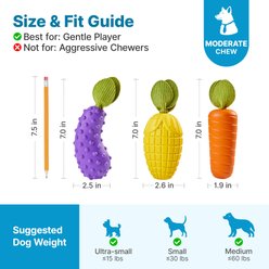 Potaroma Interactive Boredom Relief Vegetable Squeaky Rubber Exercise Dog Chew Toy, Multicolor, 3 count slide 2 of 8